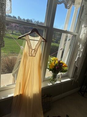 Sheer Cream Nightgown or Slip dresswith Lace Trim vintage
